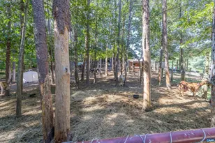 3002 Burnley Station Rd, Barboursville, VA 22923 - Photo 61
