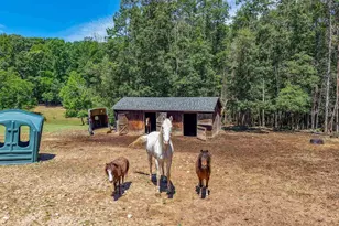 3002 Burnley Station Rd, Barboursville, VA 22923 - Photo 5