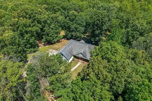 3002 Burnley Station Rd, Barboursville, VA 22923 - Photo 67