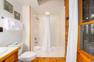 11 Ravens Roost Ct, Wintergreen Resort, VA 22967 - Photo 47