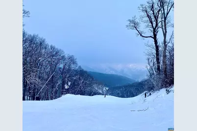 11 Ravens Roost Ct, Wintergreen Resort, VA 22967 - Photo 71