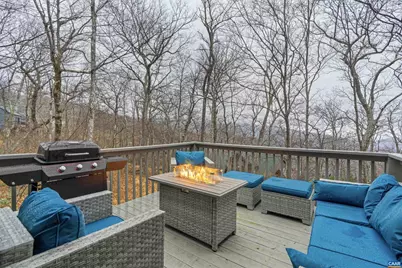 18 Squirrel Tree Ln, Wintergreen Resort, VA 22967 - Photo 29