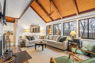 18 Squirrel Tree Ln, Wintergreen Resort, VA 22967 - Photo 7
