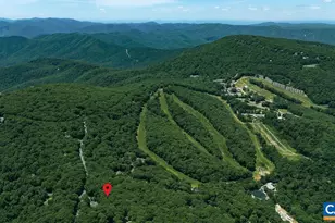 18 Squirrel Tree Ln, Wintergreen Resort, VA 22967 - Photo 37