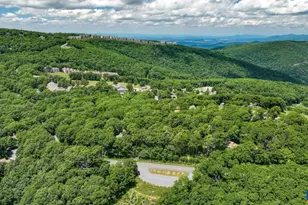 740 Laurelwood Condos, Wintergreen, VA 22967 - Photo 67