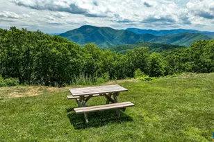 740 Laurelwood Condos, Wintergreen, VA 22967 - Photo 71