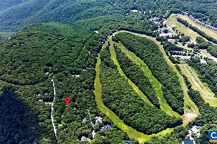 93 Squirrel Tree Ln, Wintergreen Resort, VA 22967 - Photo 39