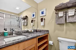 93 Squirrel Tree Ln, Wintergreen Resort, VA 22967 - Photo 19