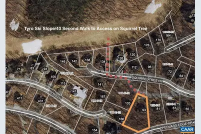 93 Squirrel Tree Ln, Wintergreen Resort, VA 22967 - Photo 3