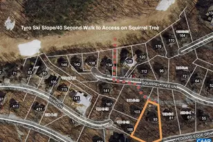 93 Squirrel Tree Ln, Wintergreen Resort, VA 22967 - Photo 3