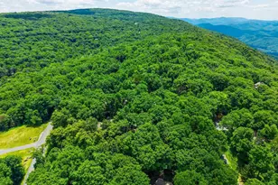 93 Valley View Ln, Wintergreen Resort, VA 22967 - Photo 59