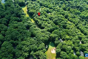 48 Deerberry Ln, Wintergreen Resort, VA 22967 - Photo 43