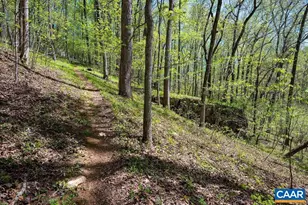 2230 Rocky Run, Charlottesville, VA 22901 - Photo 19