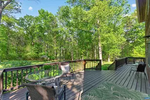 5880 Lexington Ln, Earlysville, VA 22936 - Photo 41