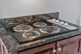 301 Meade Ave, Charlottesville, VA 22902 - Photo 21