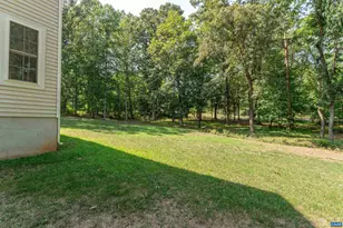 534 Tanager Woods Ct, Earlysville, VA 22936 - Photo 31