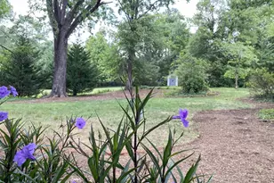 2305 Wayne Ave, Charlottesville, VA 22901 - Photo 33