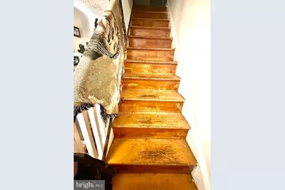 4258 Sheldon Avenue, Baltimore, MD 21206 - Photo 17