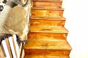 4258 Sheldon Ave, Baltimore, MD 21206 - Photo 17