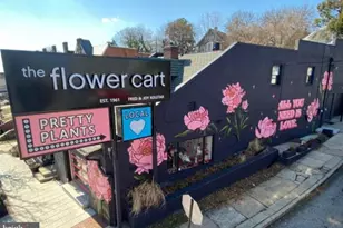 4514 Arabia Ave, Baltimore, MD 21214 - Photo 43