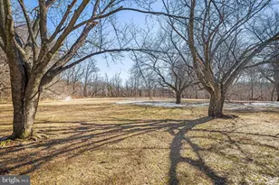 3722 Tudor Arms Ave, Baltimore, MD 21211 - Photo 39