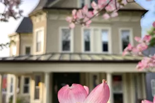 728 Colorado Ave, Baltimore, MD 21210 - Photo 55