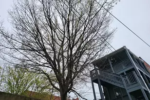 2012 Mount Royal, Baltimore, MD 21217 - Photo 39