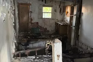 1737 McKean Ave, Baltimore, MD 21217 - Photo 5