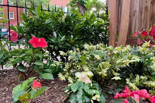 132 W Lee St, Baltimore, MD 21201 - Photo 35