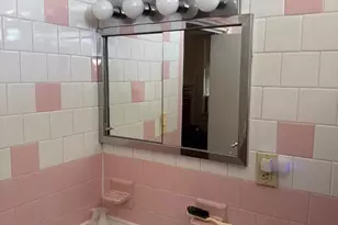 3100 Chestnut Ave, Baltimore, MD 21211 - Photo 15