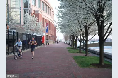 250 President Street #806, Baltimore, MD 21202 - Photo 13