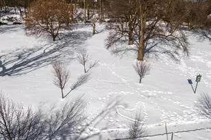 3609 Greenway, Baltimore, MD 21218 - Photo 11