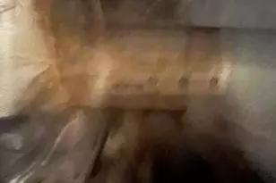 [Address not provided], Baltimore, MD 21225 - Photo 13