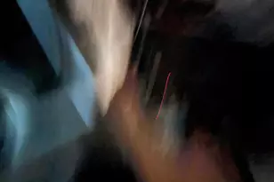 [Address not provided], Baltimore, MD 21225 - Photo 15