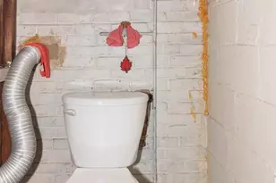 3635 Wabash Ave, Baltimore, MD 21215 - Photo 31