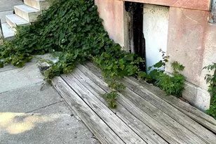 729 N Fremont Ave, Baltimore, MD 21217 - Photo 5