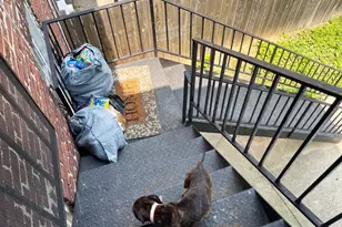 3609 Brooklyn Ave, Baltimore, MD 21225 - Photo 41