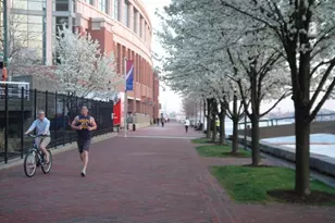 675 President St, Baltimore, MD 21202 - Photo 13