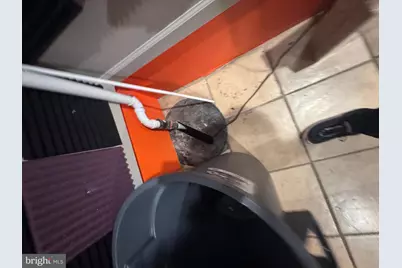 500 Sheridan Avenue, Baltimore, MD 21212 - Photo 39