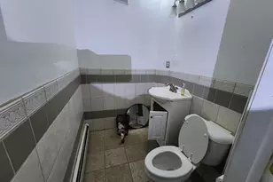 2225 St Paul St, Baltimore, MD 21218 - Photo 5