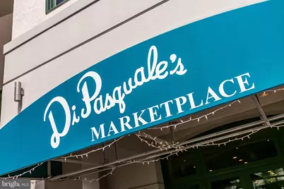 100 Harborview Drive #513, Baltimore, MD 21230 - Photo 57