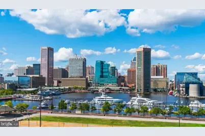 924 S Paca Street, Baltimore, MD 21230 - Photo 5