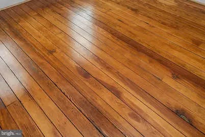 230 E Barney Street, Baltimore, MD 21230 - Photo 7