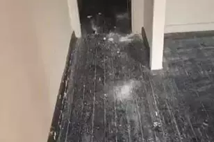 1733 McKean Ave, Baltimore, MD 21217 - Photo 1