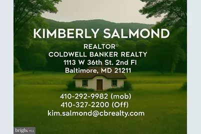 4132 Woodhaven Avenue, Baltimore, MD 21216 - Photo 1