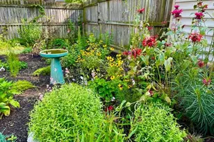 2803 Manhattan Ave, Baltimore, MD 21215 - Photo 29