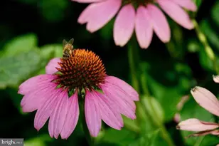 2803 Manhattan Ave, Baltimore, MD 21215 - Photo 45