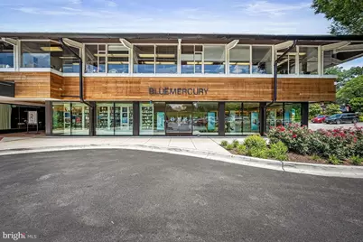 42 Bouton Green Court, Baltimore, MD 21210 - Photo 25