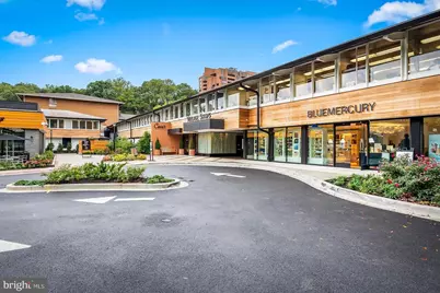 42 Bouton Green Court, Baltimore, MD 21210 - Photo 29