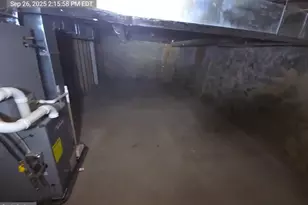 3916 Ridgewood Ave, Baltimore, MD 21215 - Photo 7